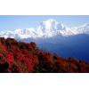 Bhutan Photography Tour