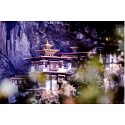 screenshot_2025-06-03_171340_1272966067